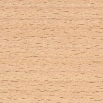 Beech Wood